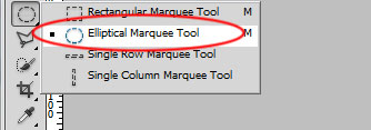 Eliptical  Marquee Tool