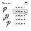      PHP.  select  option