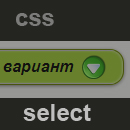    SELECT   CSS 